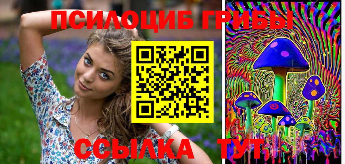 Галлюциногенные грибы GOLDEN TEACHER Михайловск