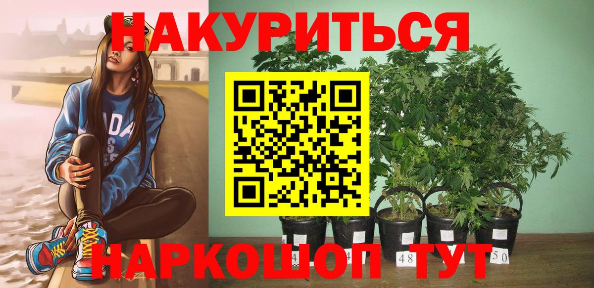 Бошки марихуана тримм Михайловск